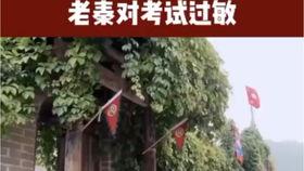 国产秦先生,探寻中国汽车工业的崛起之路